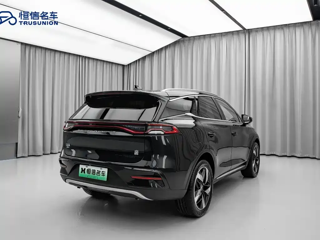 BYD Tang New Energy 2023 из CN, фото 9
