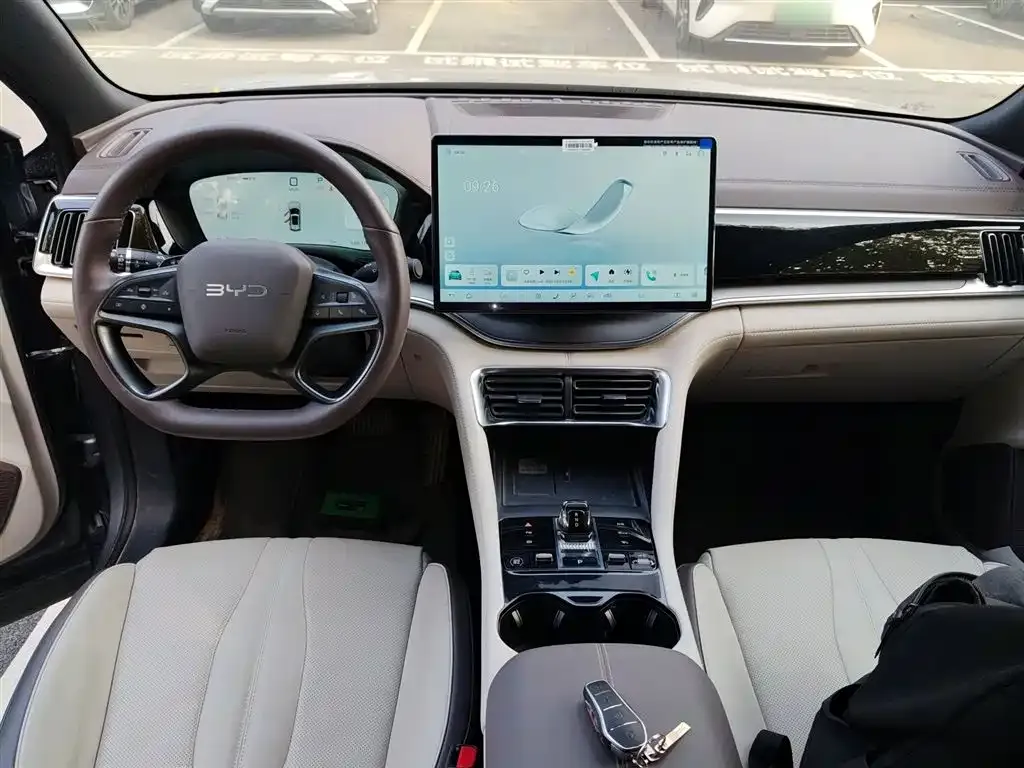 BYD PLUS New Energy 2025 из CN, фото 10