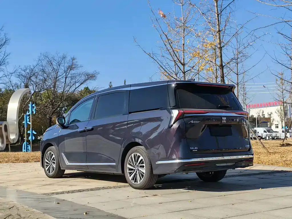Buick GL8 Hybrid 2025 из CN, фото 5