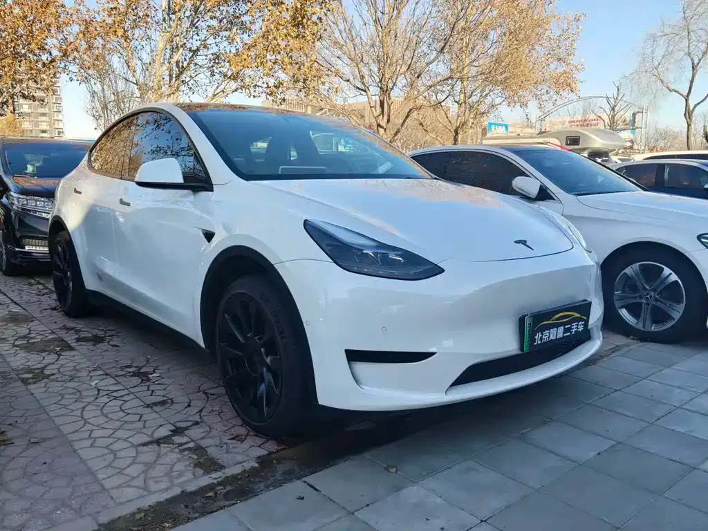Tesla Model Y — фото 2