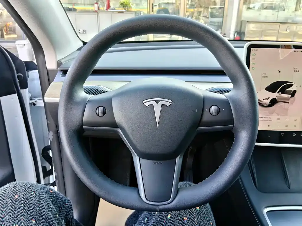 Tesla Model Y — фото 9