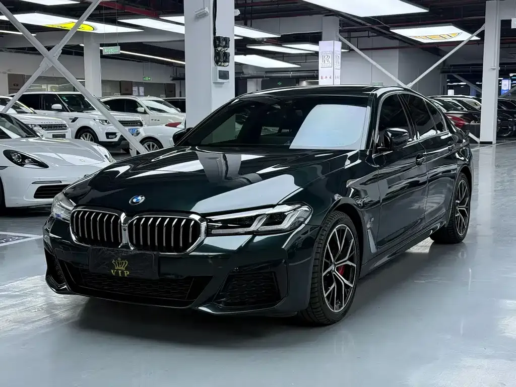 BMW 5 Series (Import) 2021 из CN, фото 1