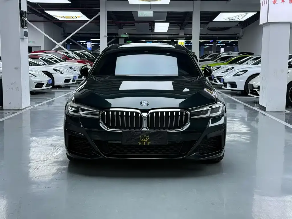 BMW 5 Series (Import) 2021 из CN, фото 2