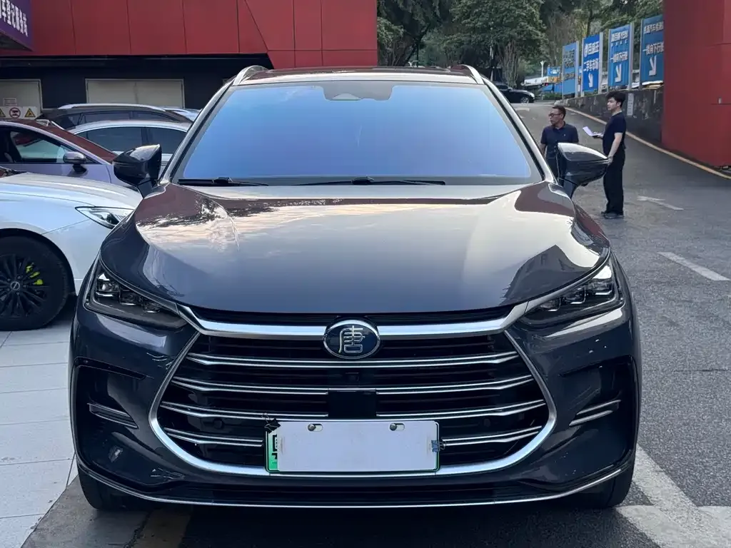 BYD Tang New Energy 2023 из CN, фото 2