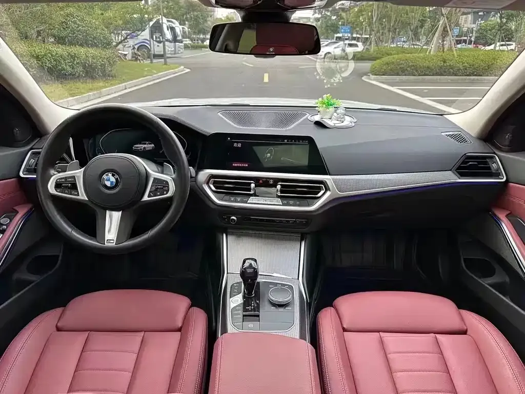 BMW 3 Series 2021 из CN, фото 6