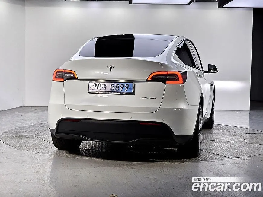 Tesla Model Y — фото 3