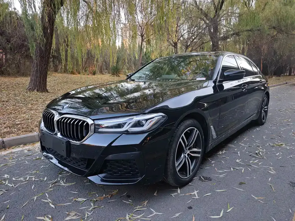 BMW 5 Series New Energy — фото 1