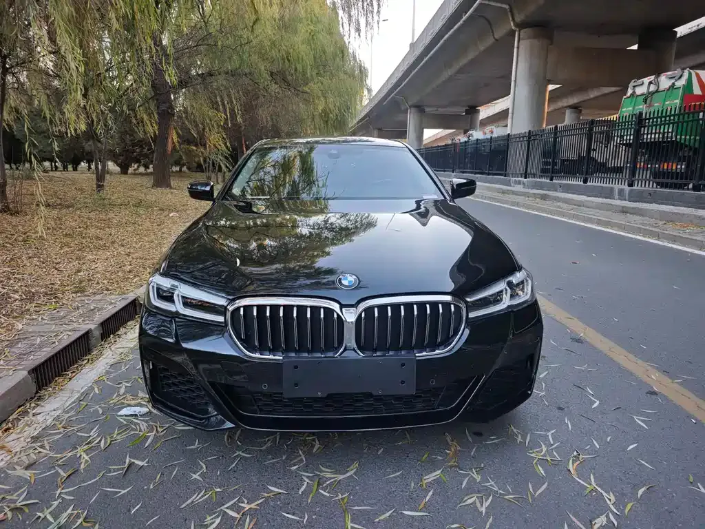 BMW 5 Series New Energy — фото 2