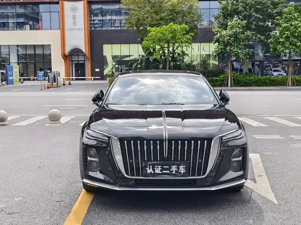Hongqi H5 2023 из CN, фото 2