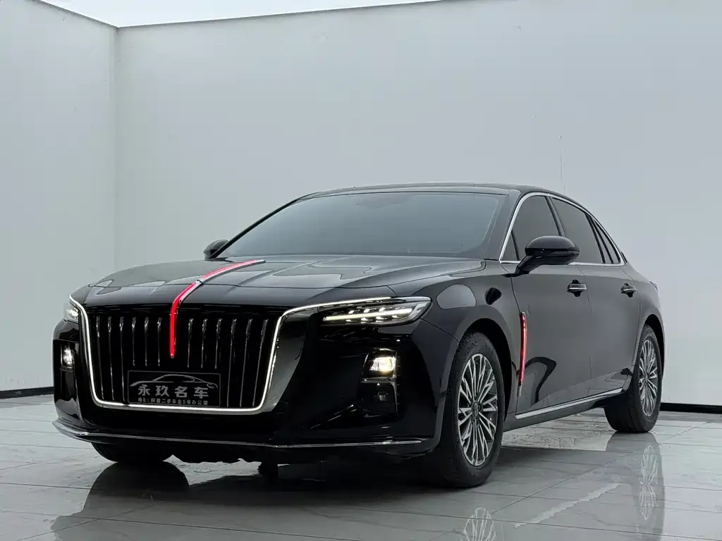 Hongqi H5 2024 из CN, фото 1