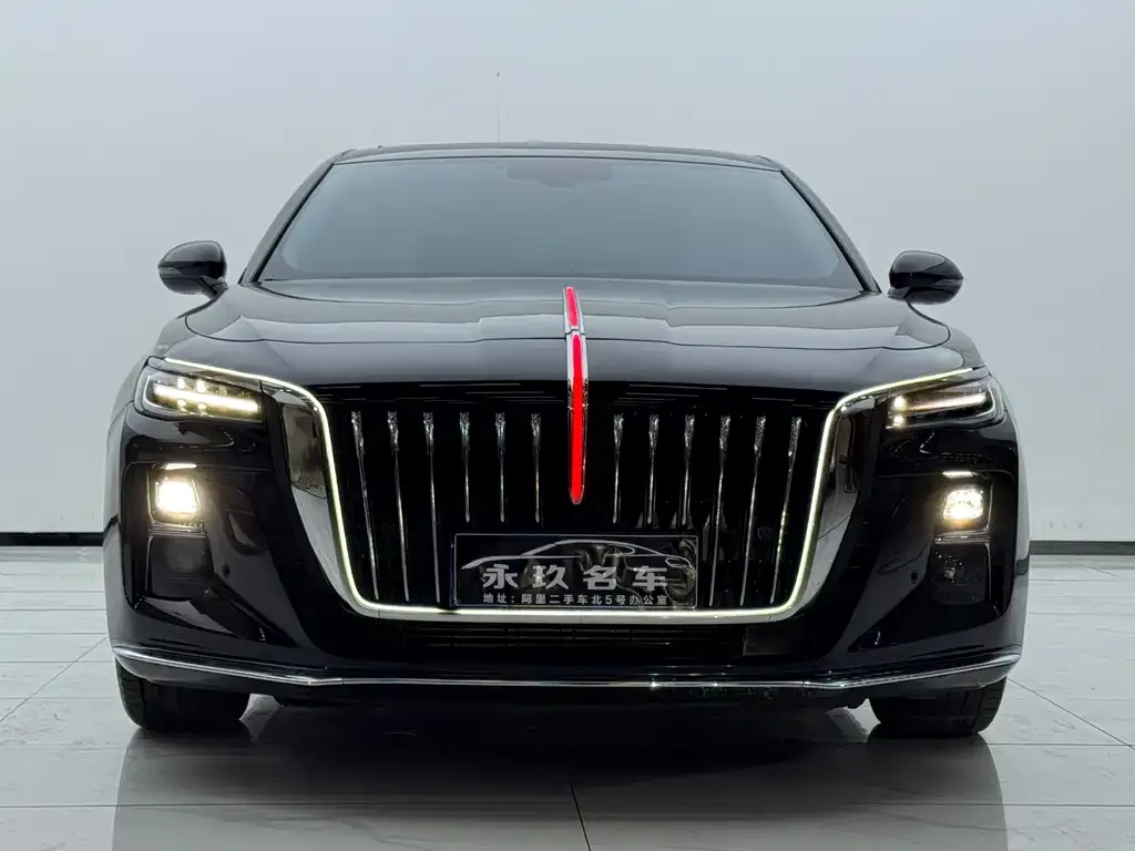 Hongqi H5 2024 из CN, фото 3