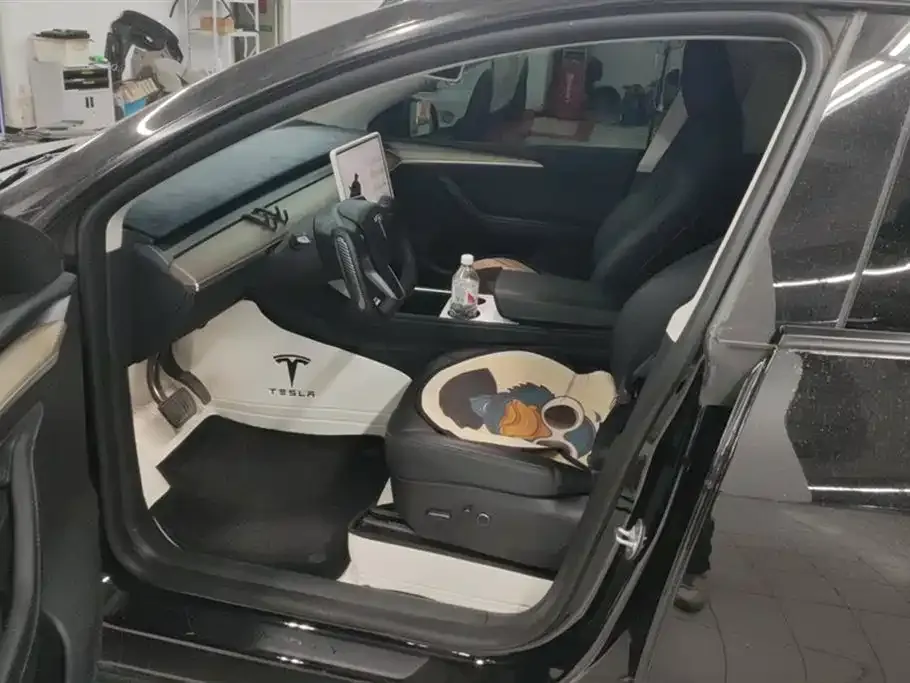 Tesla Model Y — фото 9