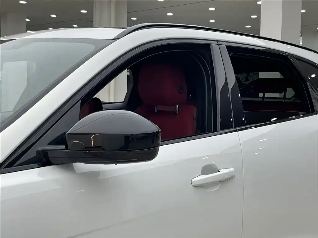 Jaguar F-PACE 2023 из CN, фото 8