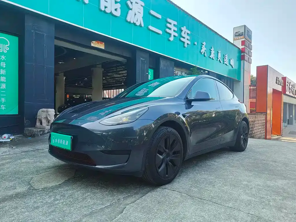 Tesla Model Y — фото 1