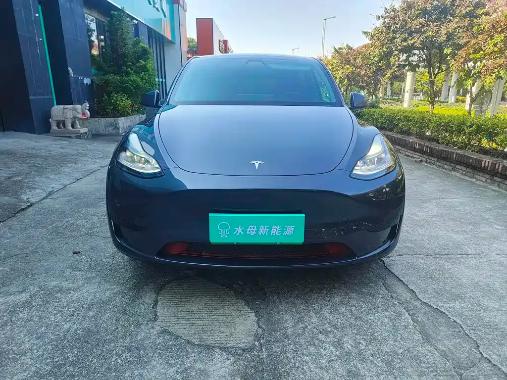 Tesla Model Y — фото 2