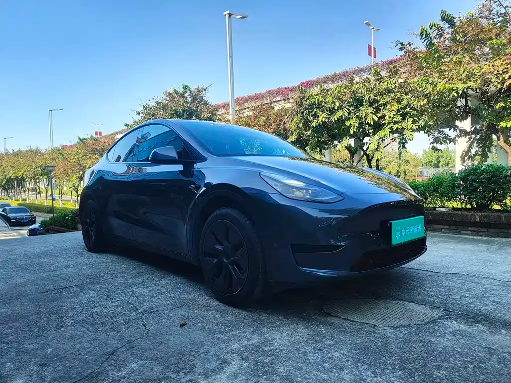 Tesla Model Y — фото 3