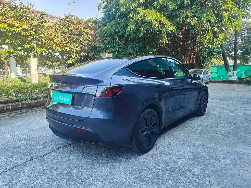 Tesla Model Y — фото 6