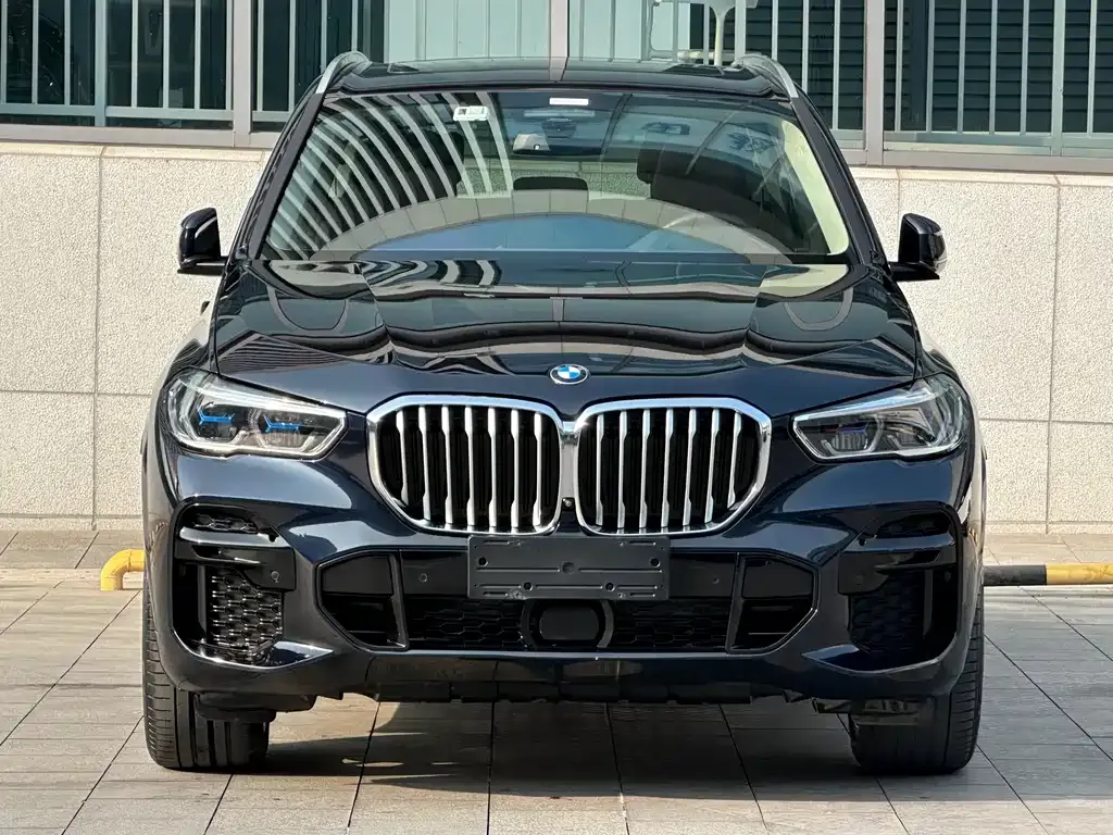 BMW X5 (Import) 2021 из CN, фото 2