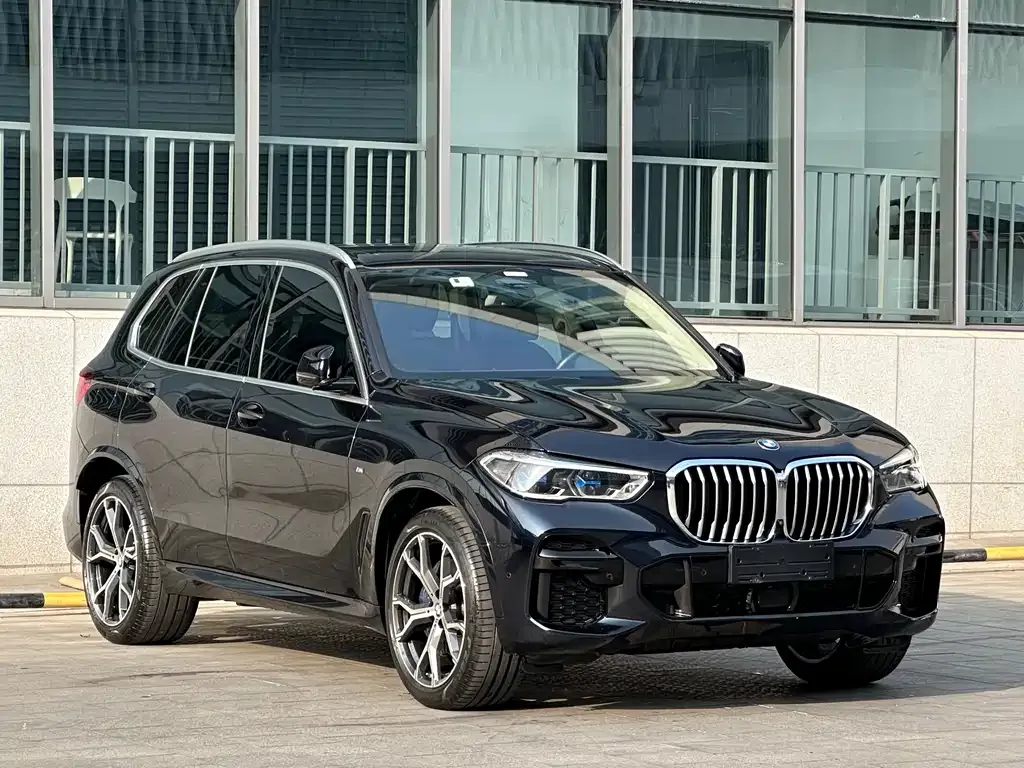 BMW X5 (Import) 2021 из CN, фото 3