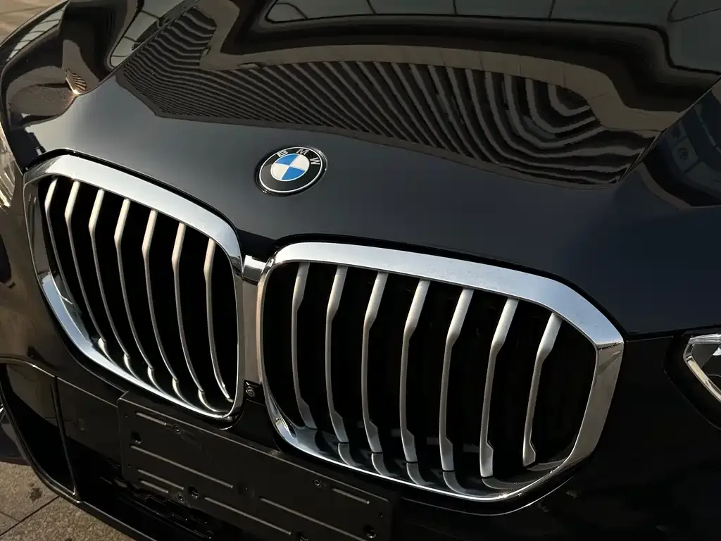 BMW X5 (Import) 2021 из CN, фото 6