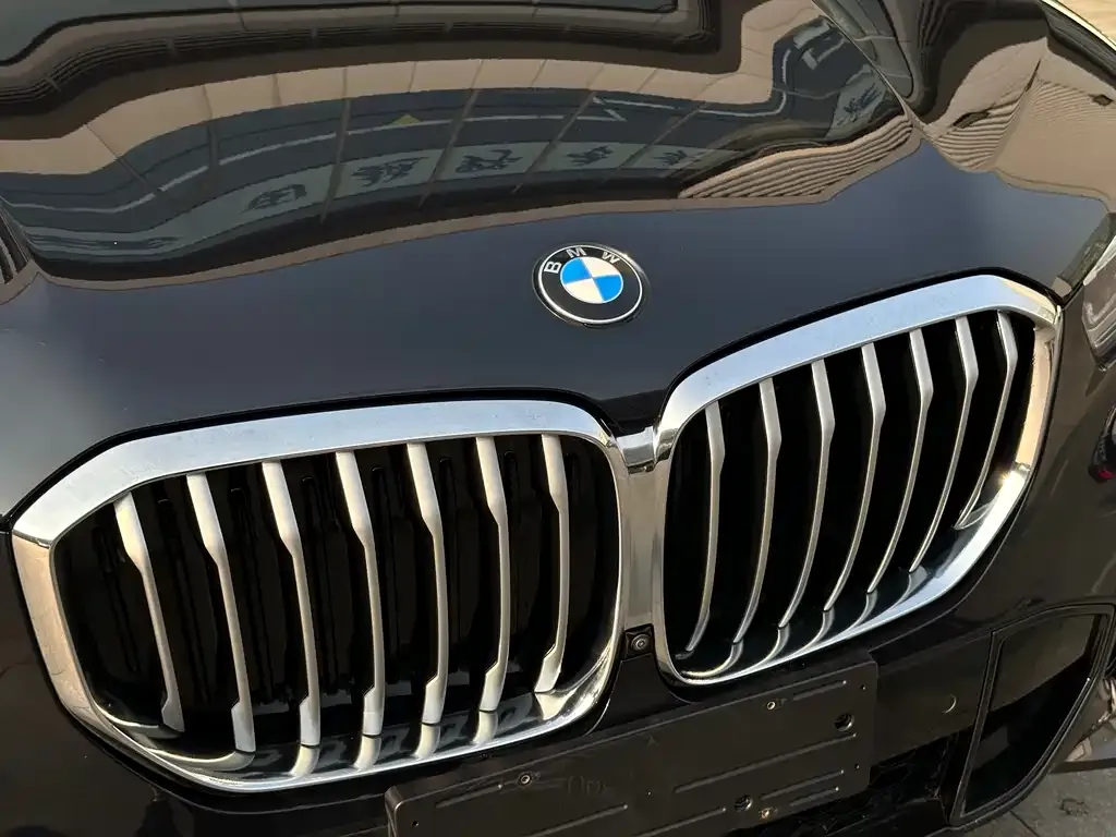 BMW X5 (Import) 2021 из CN, фото 7