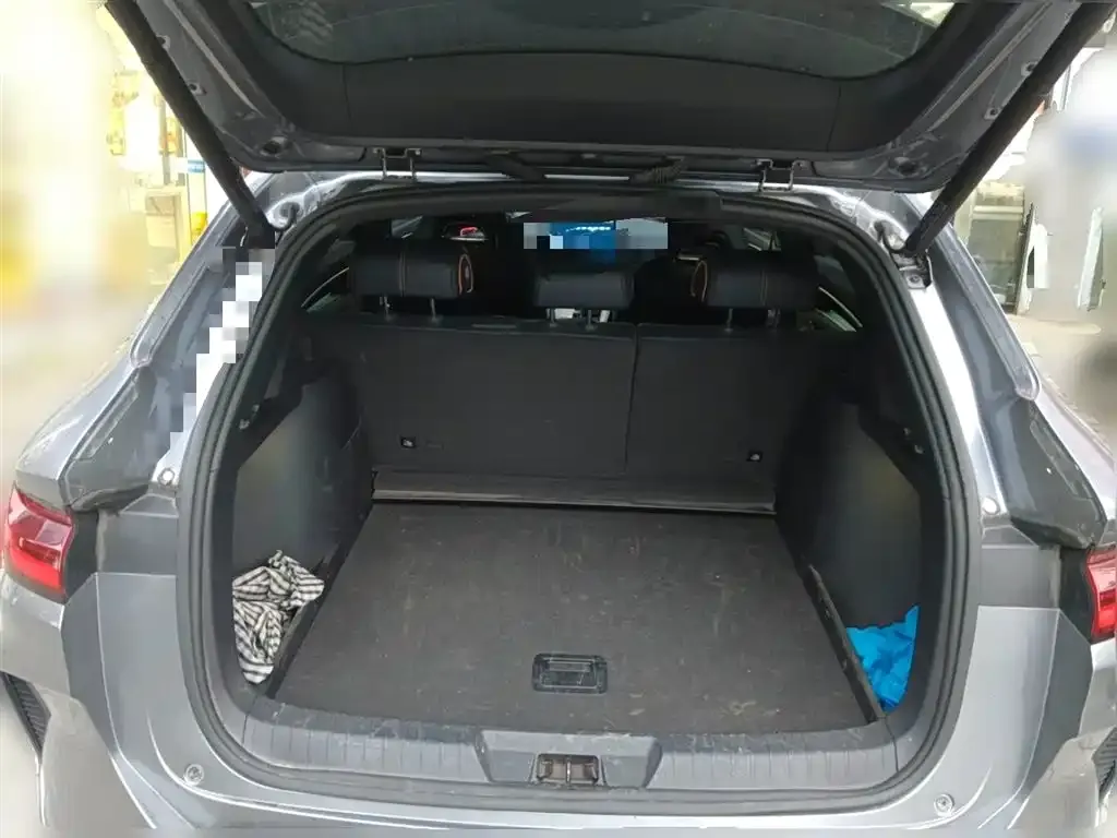 BYD PLUS New Energy 2024 из CN, фото 10