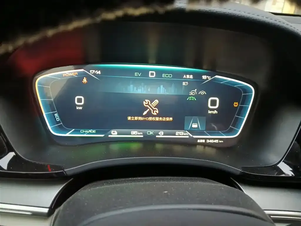 BYD PLUS New Energy 2024 из CN, фото 4