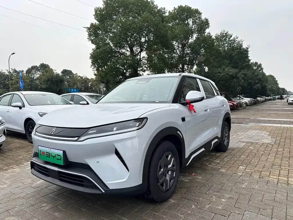 BYD Yuan UP 2025 из CN, фото 1