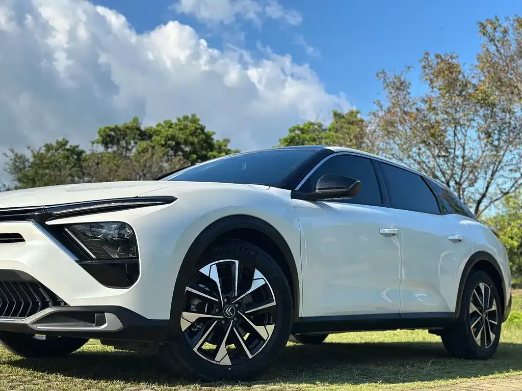 Citroen C5 X 2021 из CN, фото 6