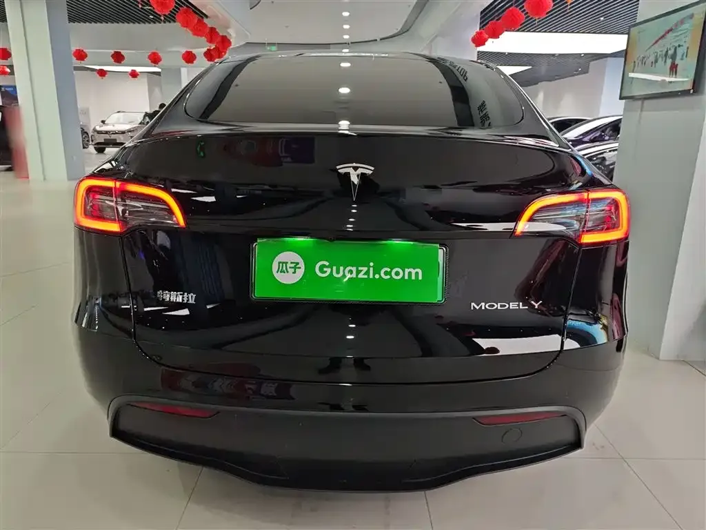 Tesla Model Y 2023 из CN, фото 6