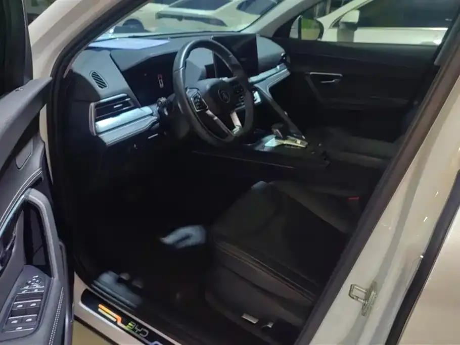 BYD Pro 2021 из CN, фото 9