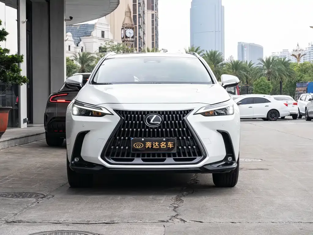 Lexus NX 2023 из CN, фото 2