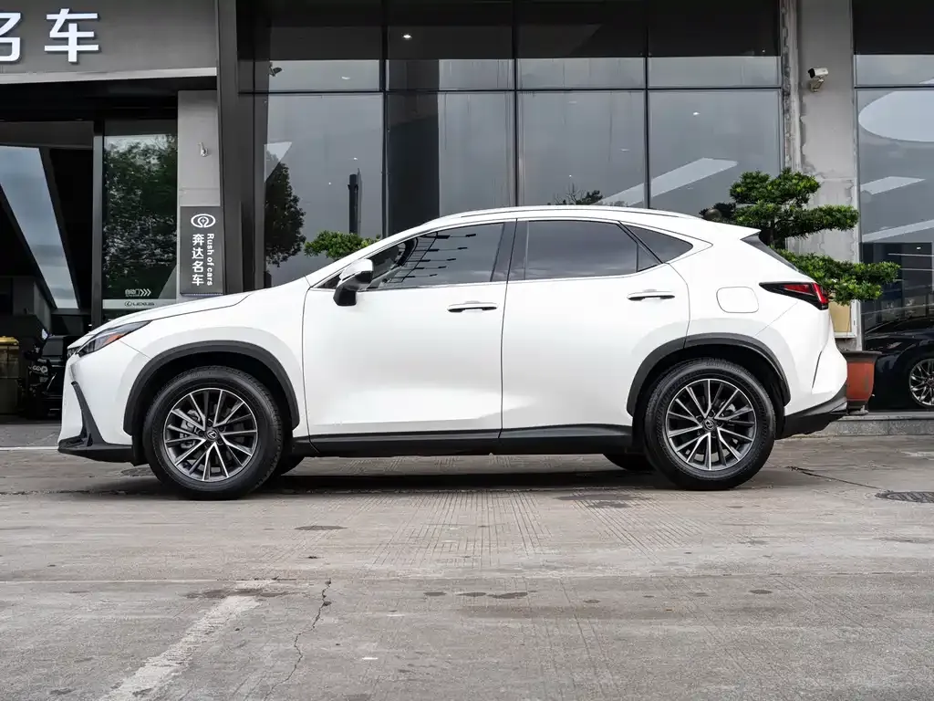 Lexus NX 2023 из CN, фото 4