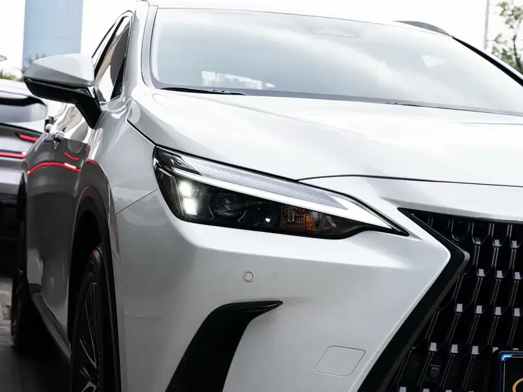 Lexus NX 2023 из CN, фото 6