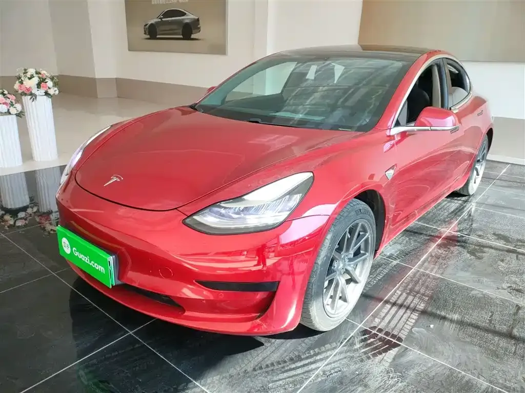 Tesla Model 3 2021 из CN, фото 2