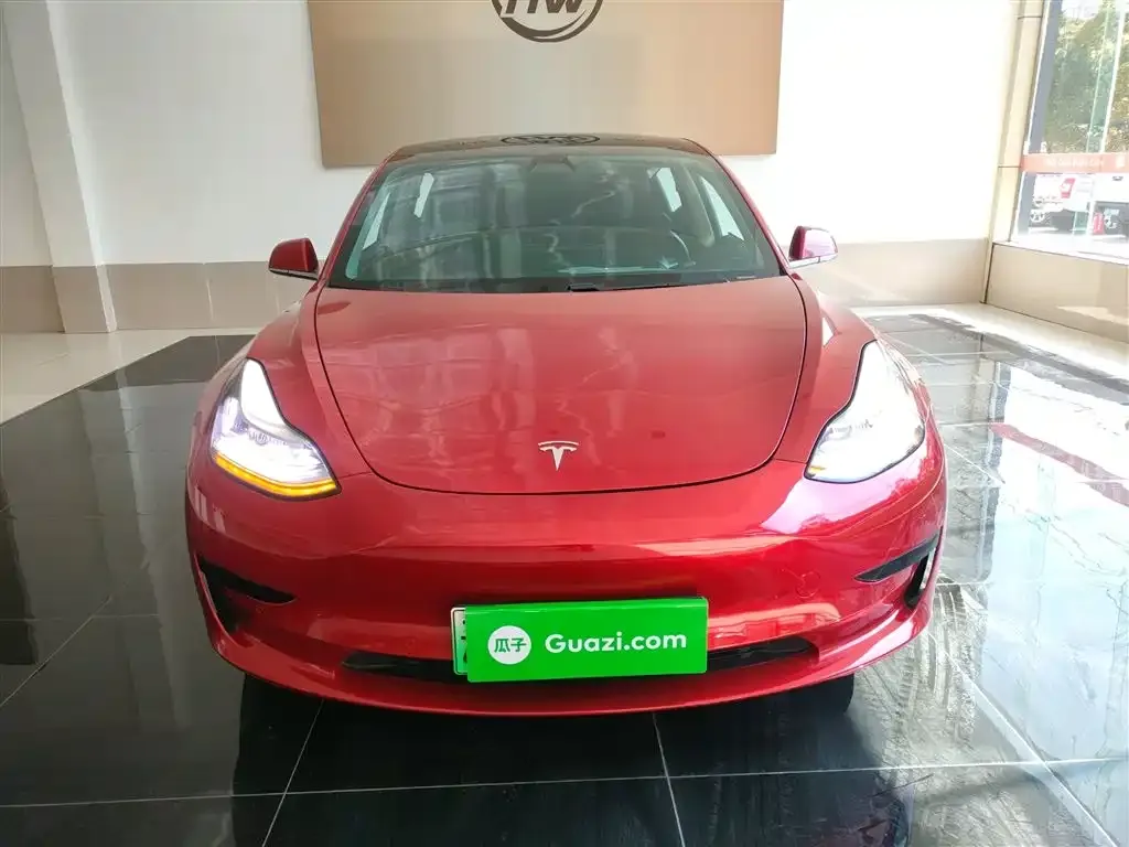 Tesla Model 3 2021 из CN, фото 3