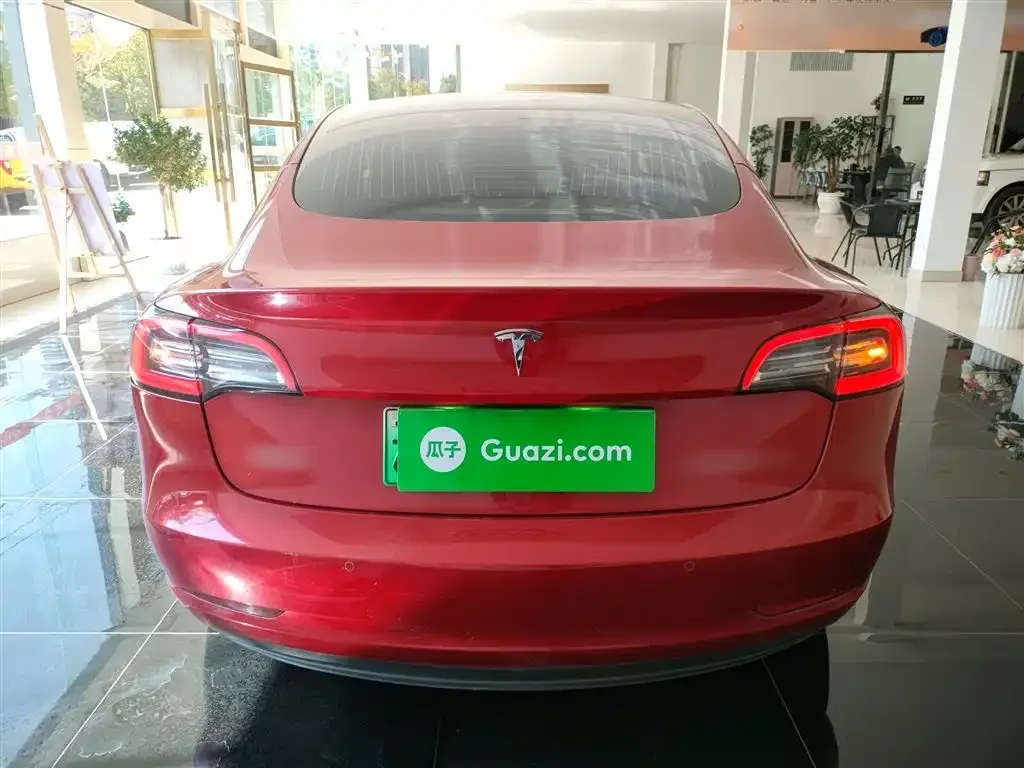 Tesla Model 3 2021 из CN, фото 6