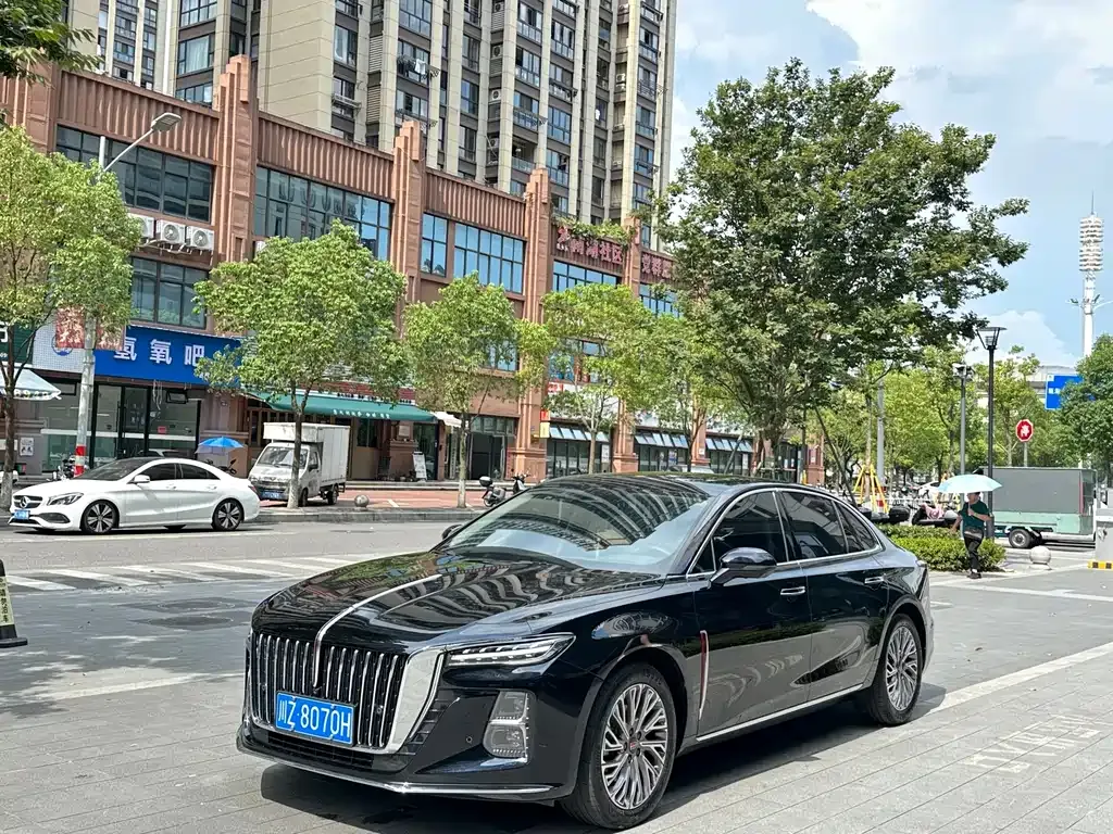 Hongqi H5 2023 из CN, фото 1