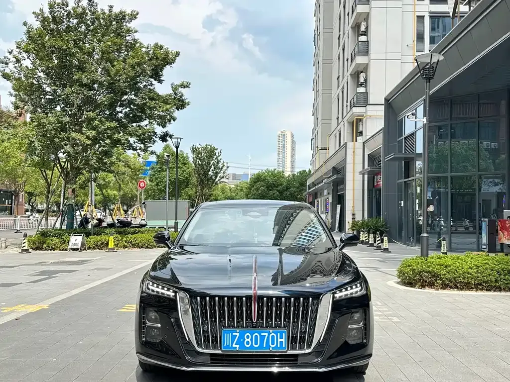 Hongqi H5 2023 из CN, фото 2