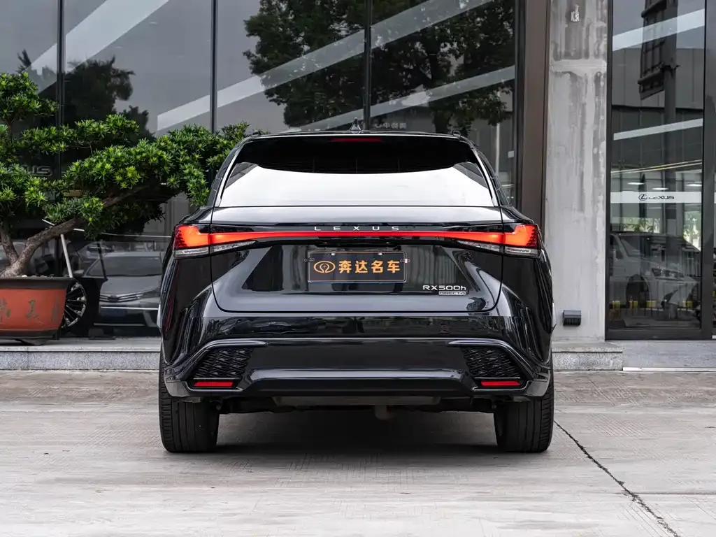 Lexus RX 2023 из CN, фото 5