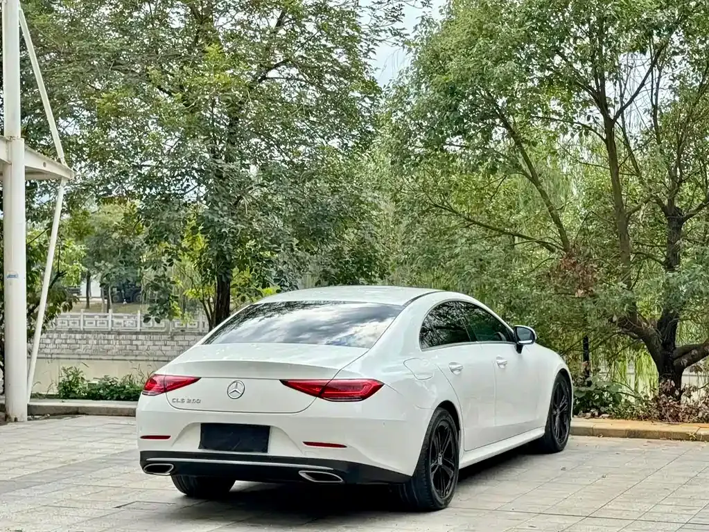 Mercedes-Benz CLS 2021 из CN, фото 3