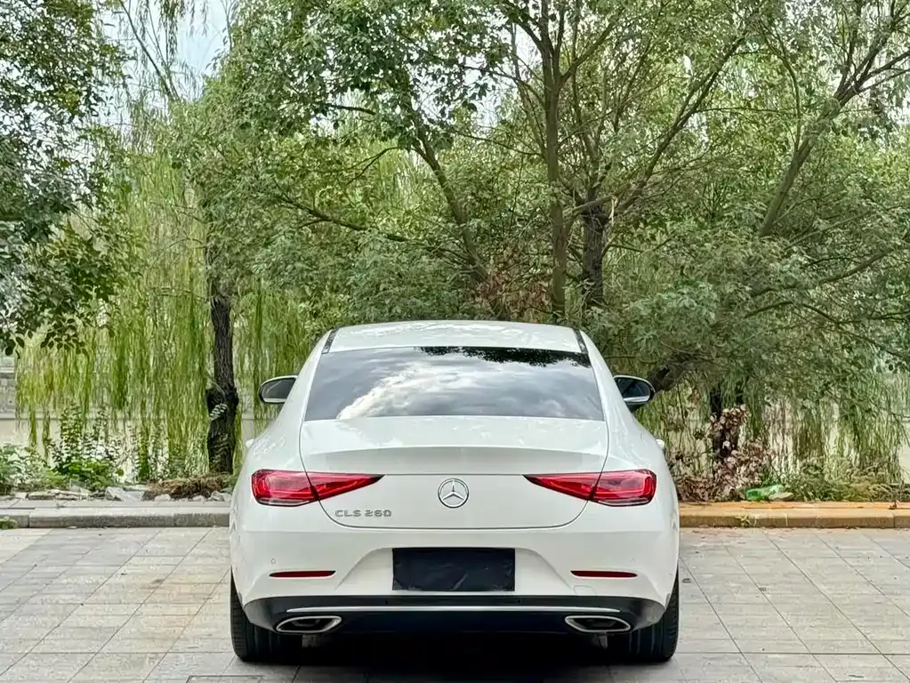 Mercedes-Benz CLS 2021 из CN, фото 4