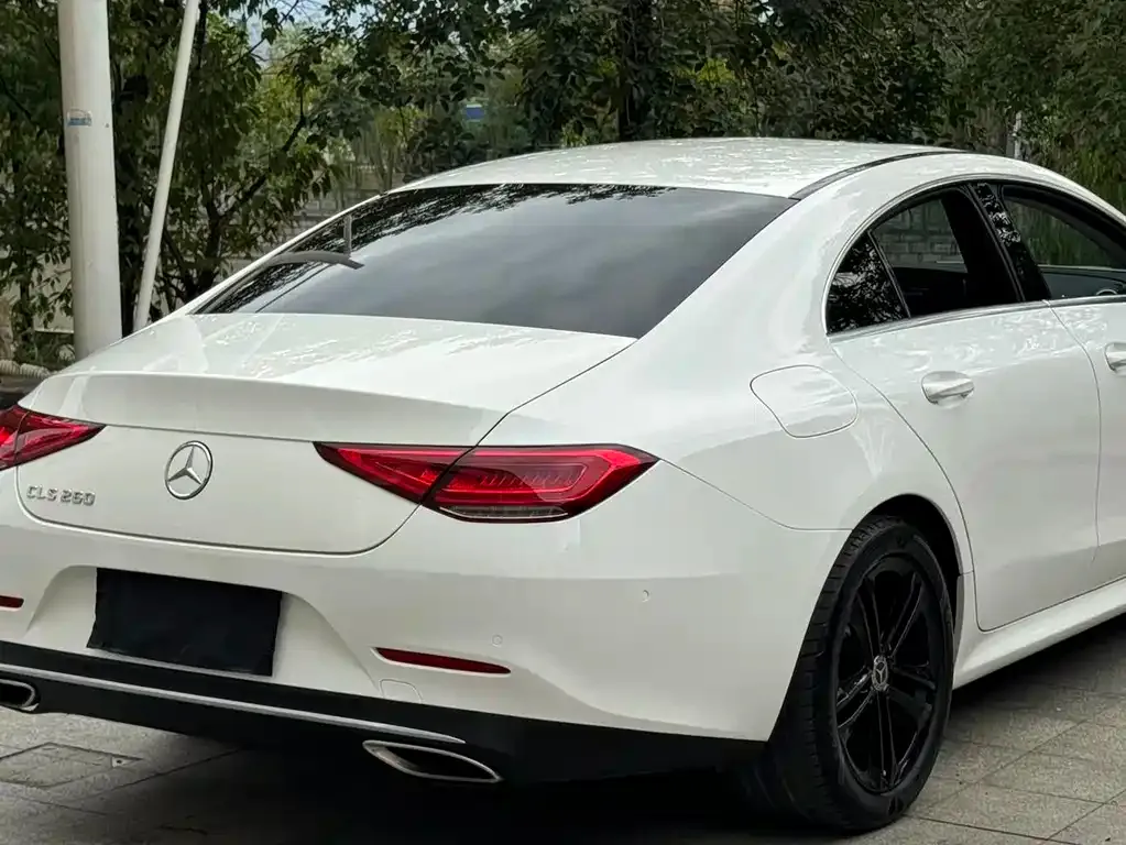 Mercedes-Benz CLS 2021 из CN, фото 5