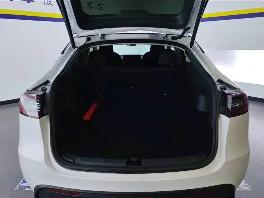 Tesla Model Y 2024 из CN, фото 4