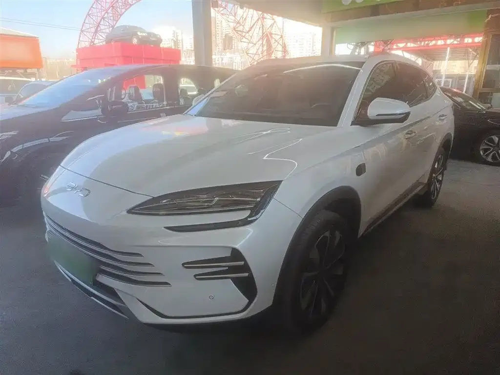 BYD PLUS New Energy 2025 из CN, фото 2