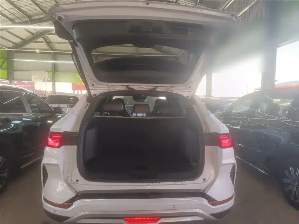 BYD PLUS New Energy 2025 из CN, фото 6