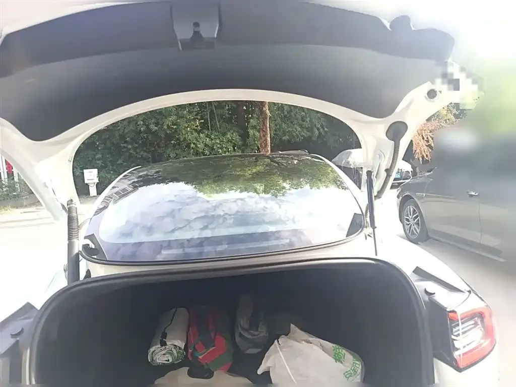 Tesla Model 3 2021 из CN, фото 10