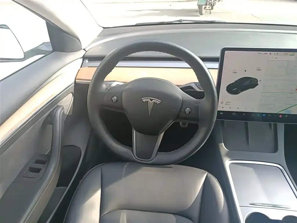 Tesla Model 3 2021 из CN, фото 3