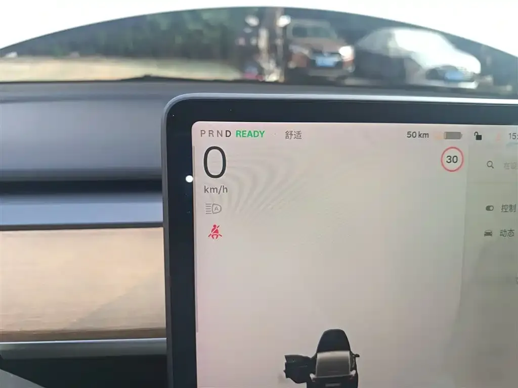 Tesla Model 3 2021 из CN, фото 4