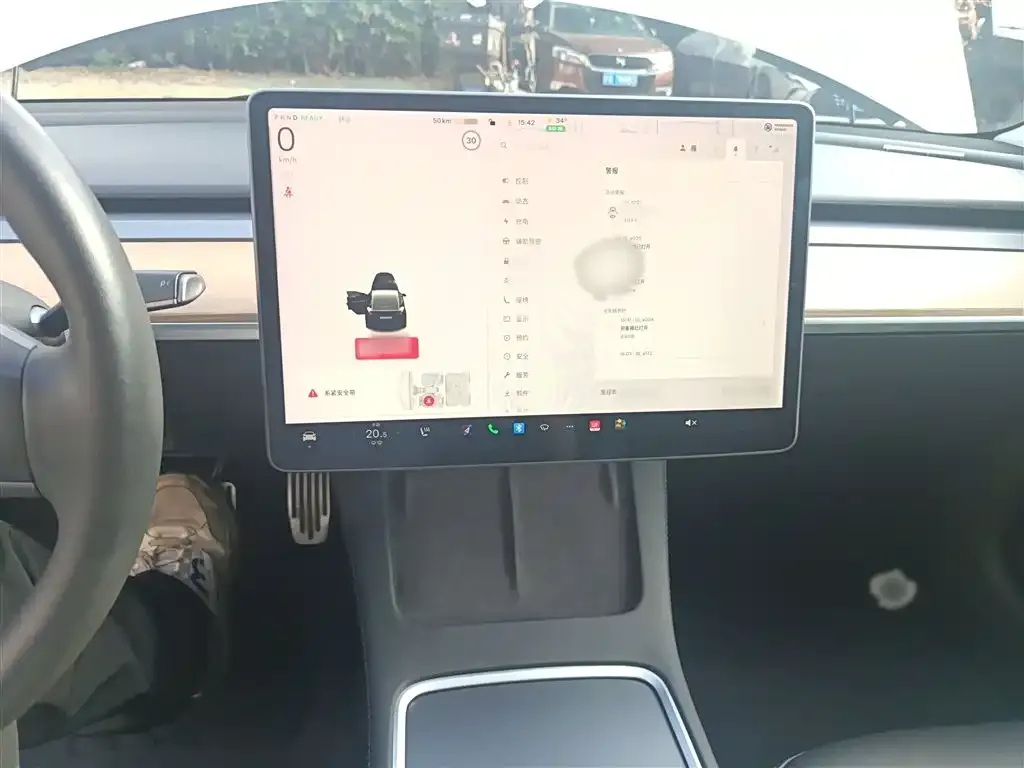 Tesla Model 3 2021 из CN, фото 6